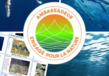 visuel amabassadeur