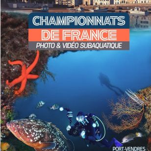 france photo video 2026 ffessm
