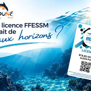 ffessm dune 2026