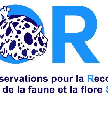 Logo DORIS