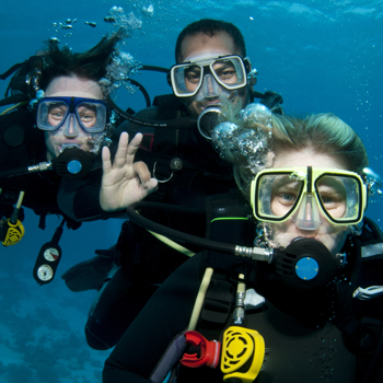 image listing de la page a la découverte de la plongée sous-marine