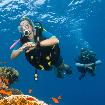 Image page partenaire subea by décathlon listing