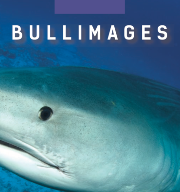 CNPV Bullimages image a la une 1