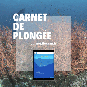 Carnet de plongée numérique FFESSM