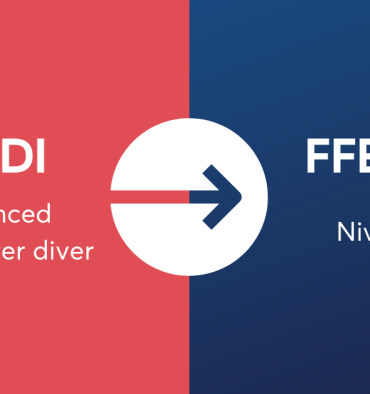 Passerelle advanced open water Padi / niveau 2 FFESSM