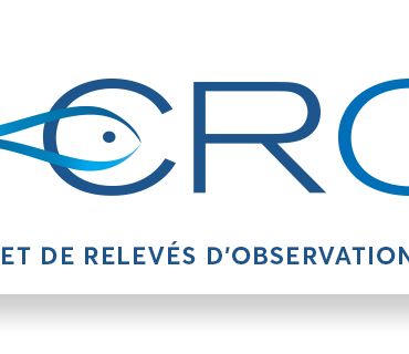 Têtière FFESSM + CROMIS