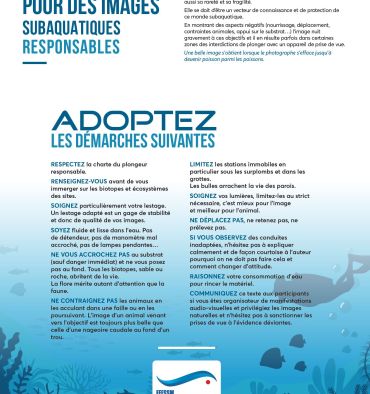 charte images respo,nsable en jpeg