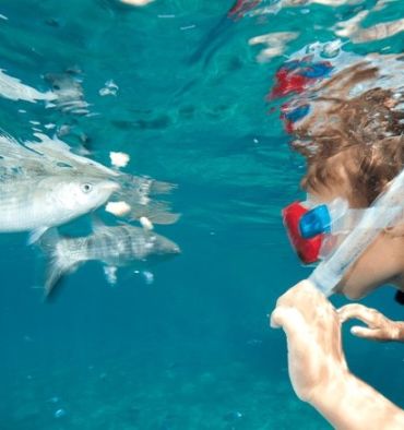 Illustration RandoSub