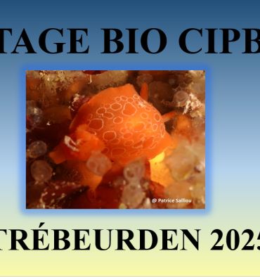 Stage bio à Trébeurden en juillet 2025