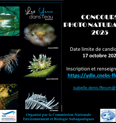 Affichette LYDLE 2025