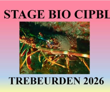 Formation Bio à TREBEURDEN en 2026