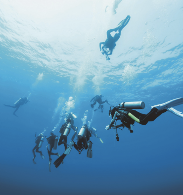 Plongeurs près surface