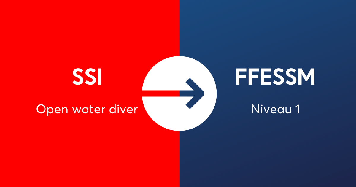 Passerelle Open Water Diver SSI / niveau 1 FFESSM