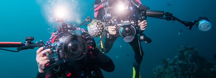 Photo vidéo sous-marine méduse